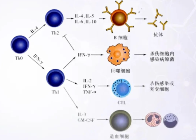 1661751902555264.png image.png