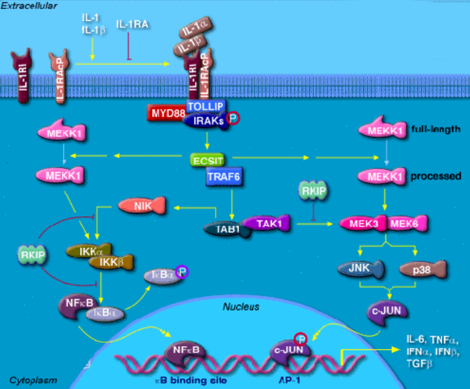 1661751997270738.png image.png