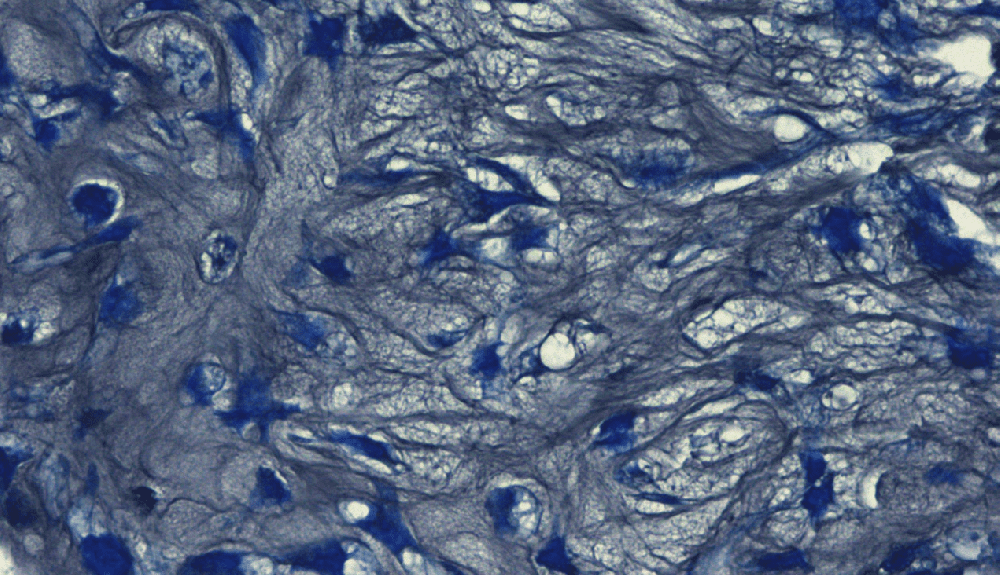 1661756447113222.png image.png