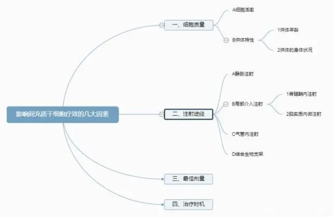 同樣是注射干細胞,為何效果存在差異化?