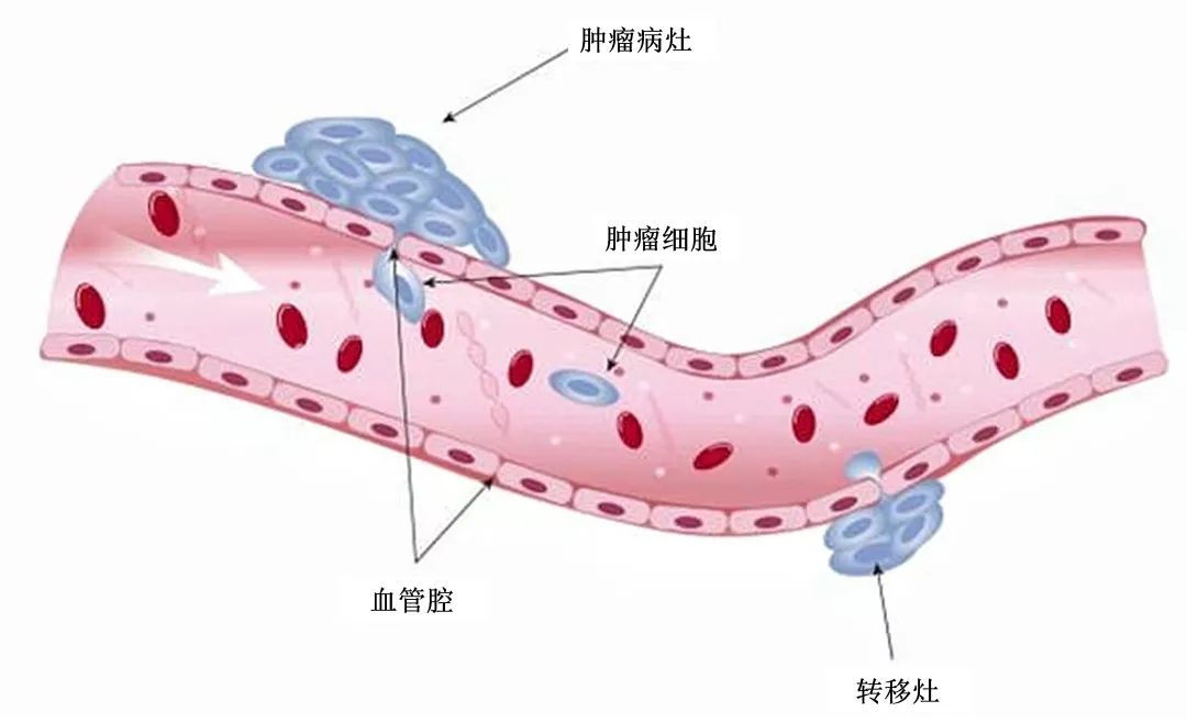 1677312215104462.jpg 微信圖片_20230222161233.jpg