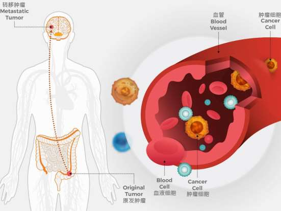 1677312359108951.png 第11頁-11(1).PNG