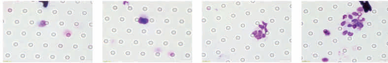 1677313173176280.png 第7頁-29.PNG