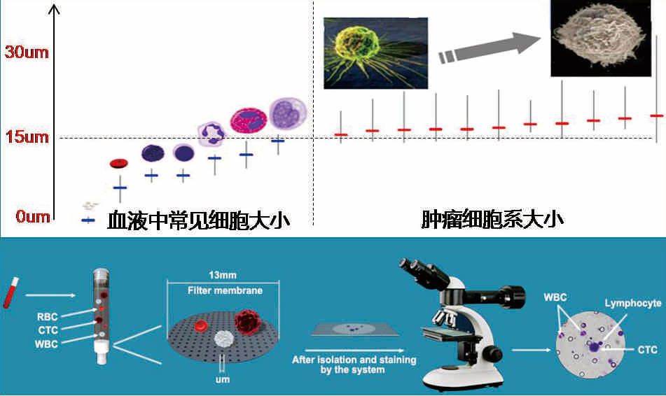 1677313593134615.png 第8頁-36.PNG