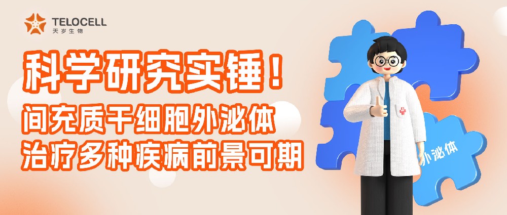 科學(xué)研究實(shí)錘!間充質(zhì)干細(xì)胞外泌體治療多種疾病前景可期!