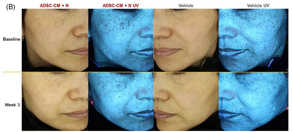 1685695844368610.png 微信圖片_20230529154325.png