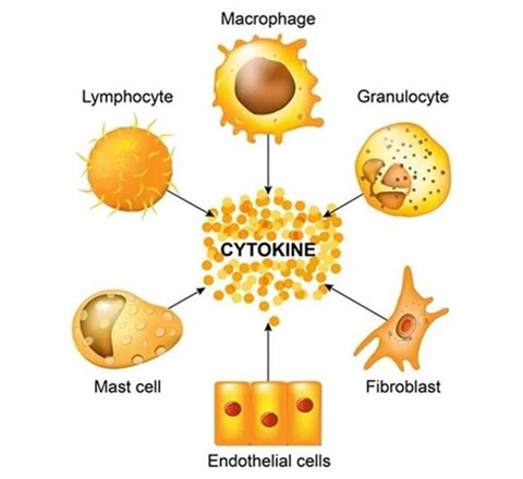 1685695911173661.jpg yinzitu.jpg