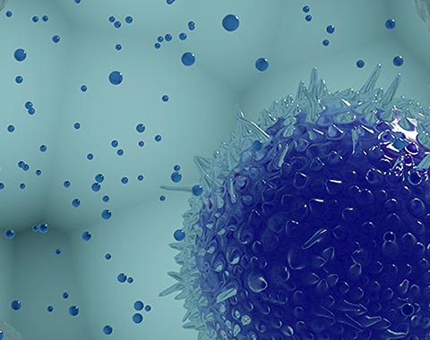 1685696016187753.jpg waimititu.jpg