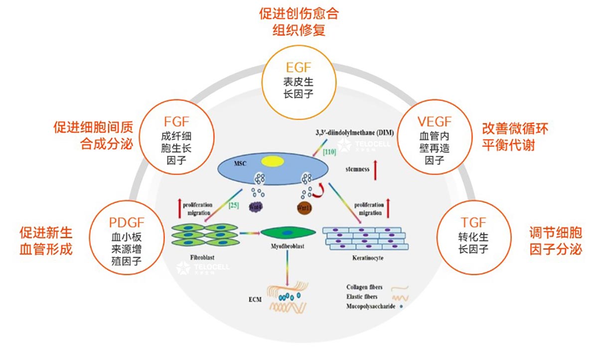 1685696057173582.jpg wmtksyl.jpg