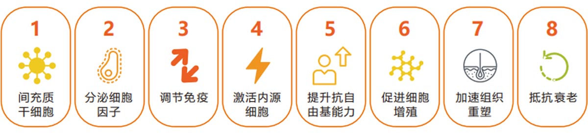 1685696152168139.jpg kangshuaiyuanli2.jpg