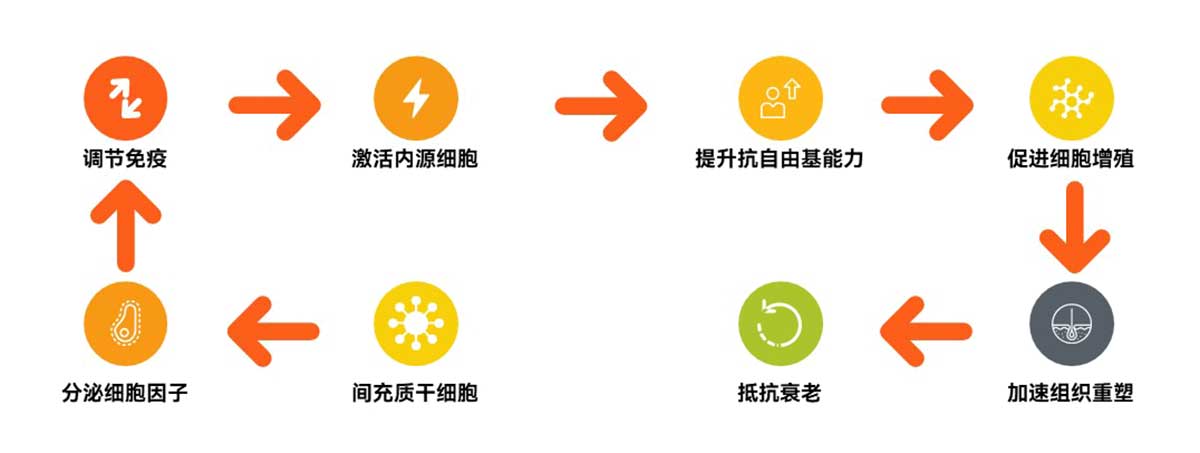 1685696212102963.jpg kangshuaiyuanli.jpg