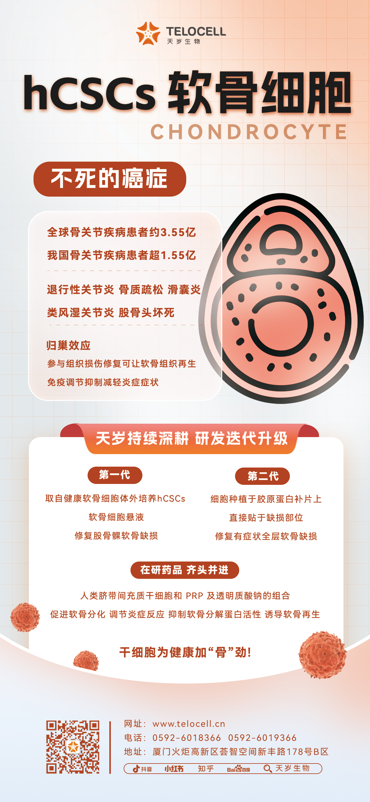 1692949597173264.jpg 20230818 hCSCs 軟骨細胞.jpg