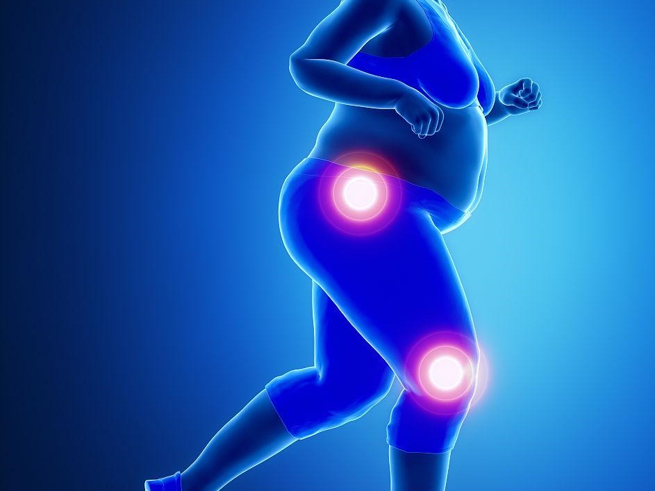 1692949761508109.jpg u=3410852881,1103622578&fm=193_副本.jpg