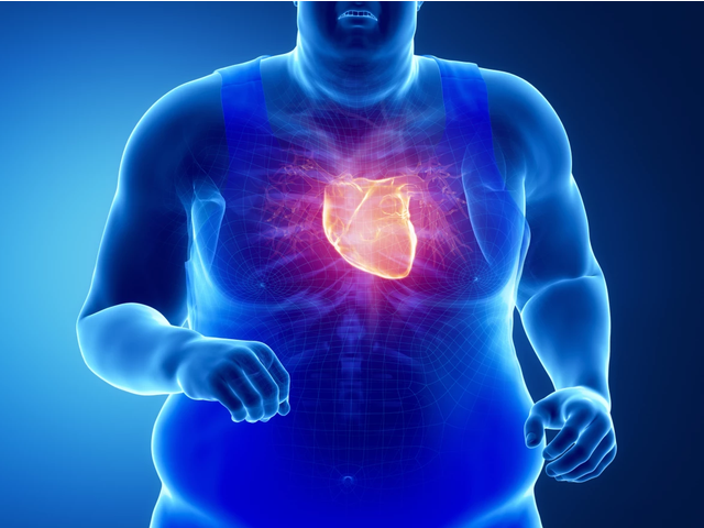 1692949770104890.png 35a85edf8db1cb13e6afacd2972e574790584bb4_副本.png