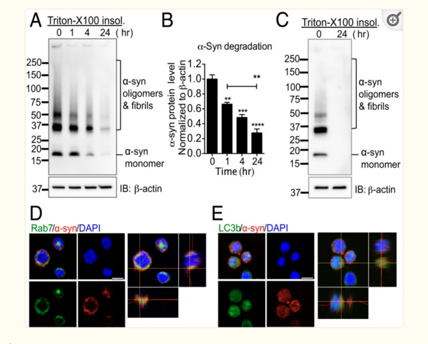 1694243546165873.png 微信圖片_20230905151649_1.png