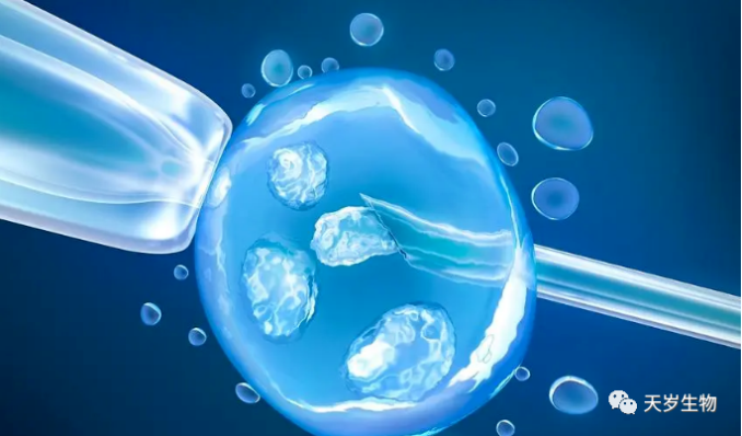 1698991100144886.png 1698991099173.png