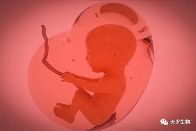 1698991114206711.png 1698991113385.png