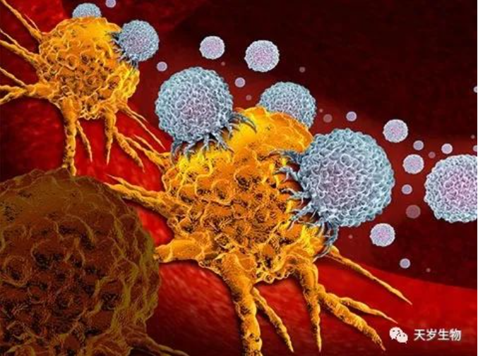 1698991152187240.png 1698991149562.png