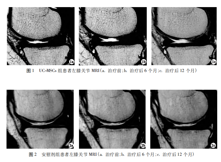 1701835095162968.png 640 (5).png