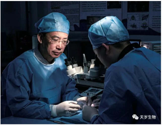 1703141161198949.png 1703141160469.png