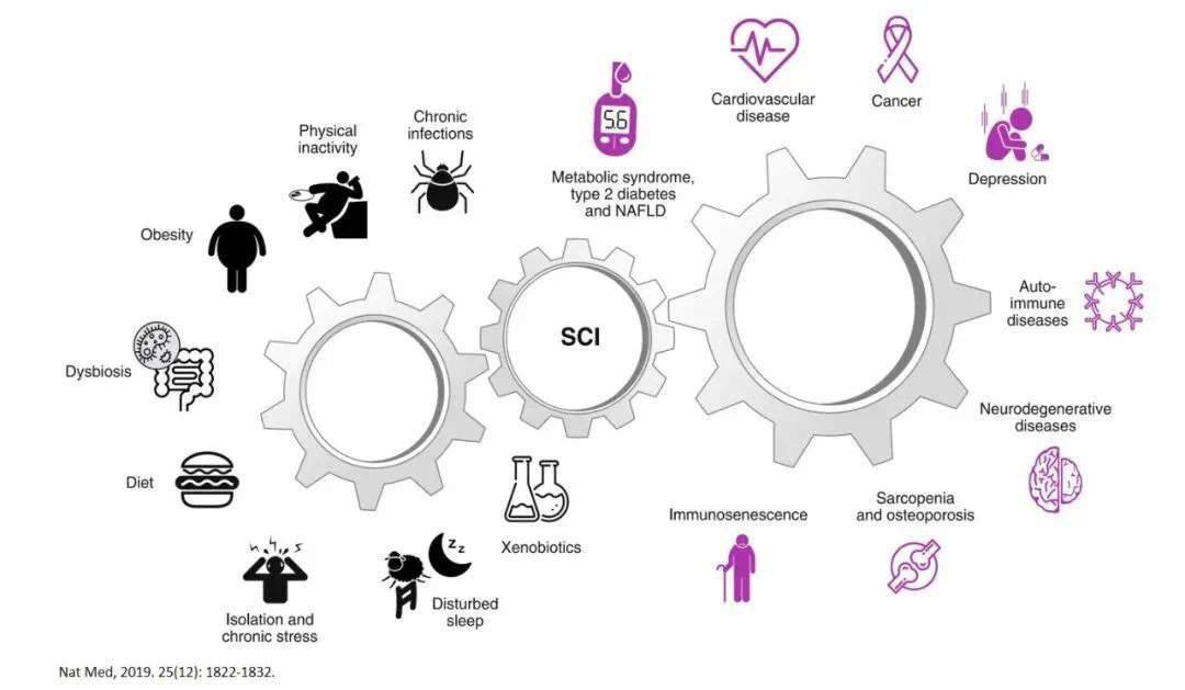 1703142125116351.png 640.png