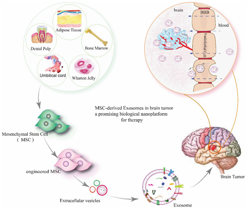 1709625945919499.png 640 (1).png