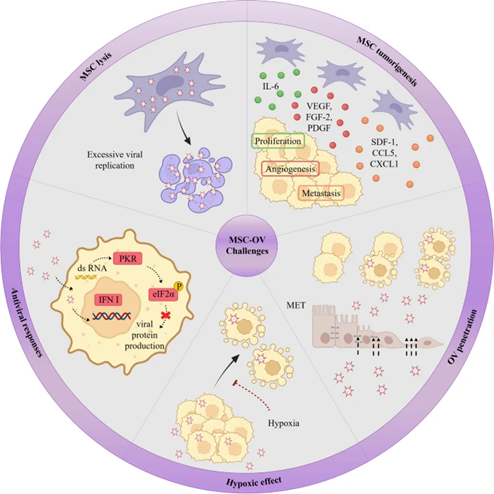 1709625991111368.png 640 (4).png