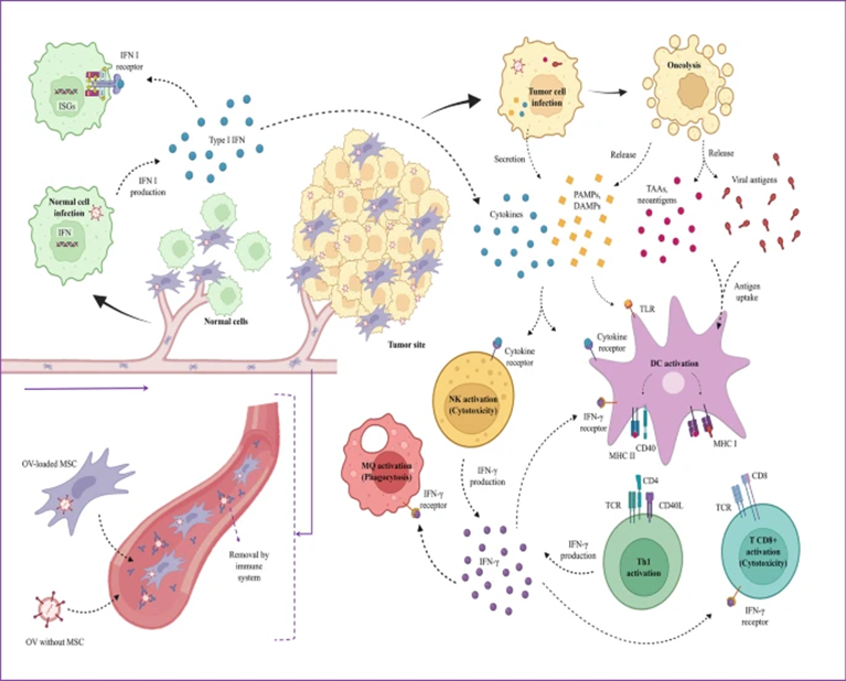 1709626042173838.png 640 (5).png