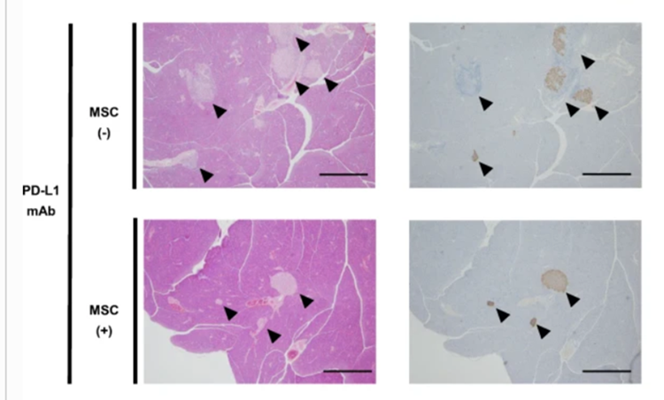 1709626091198412.png 640 (8).png