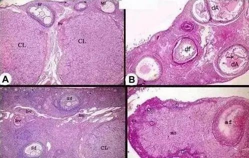 1715588752433743.jpg 微信圖片_20240511163841.jpg