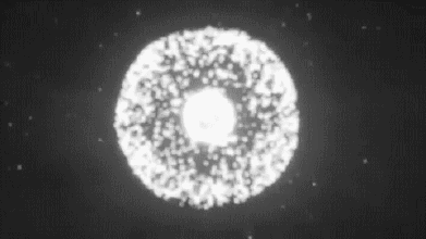 1715588878149218.gif 640 (1).gif