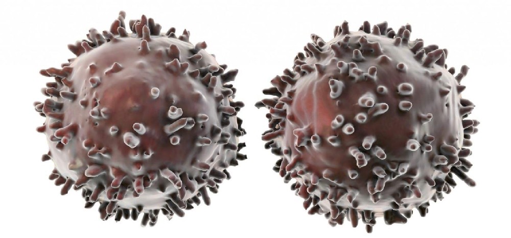 細胞的“黑化”之路——從正常細胞到癌細胞，它到底經歷了什么？