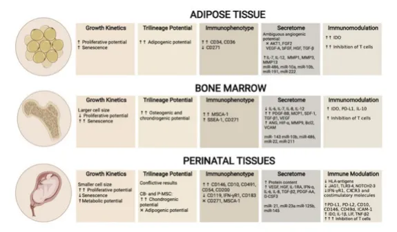 1718700525147488.png 微信圖片_20240617154851.png