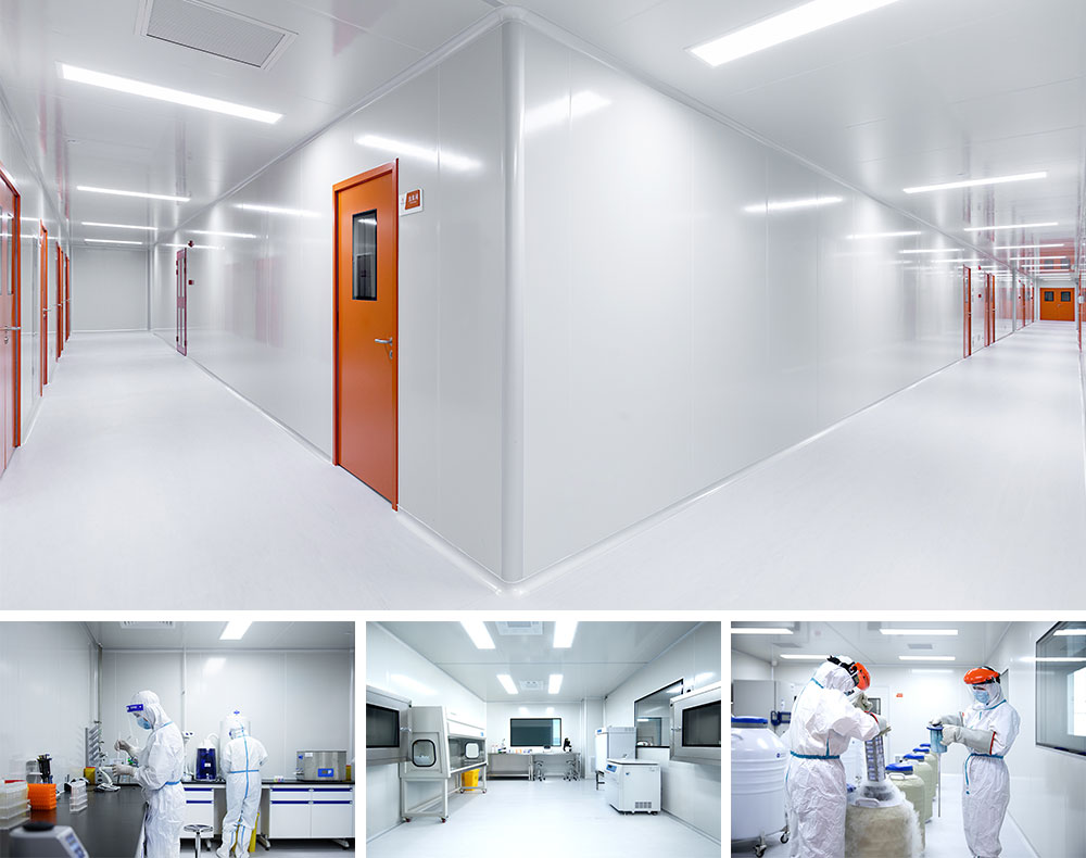 為什么細胞療法很貴？自動化和標準化是降低成本的關鍵