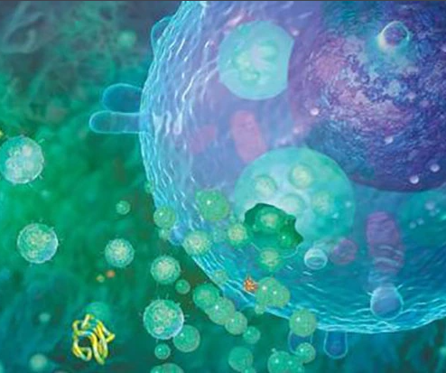 1731137995187264.png 1731049548453.png