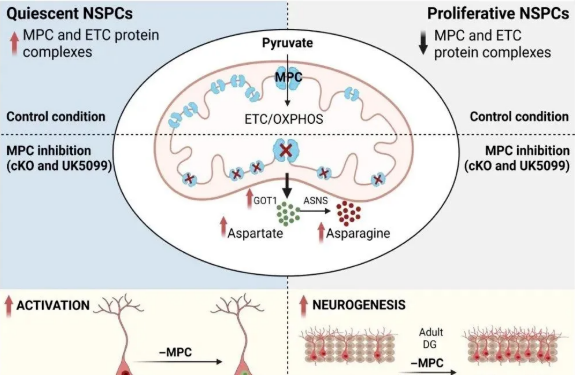 1748933754498294.png image.png