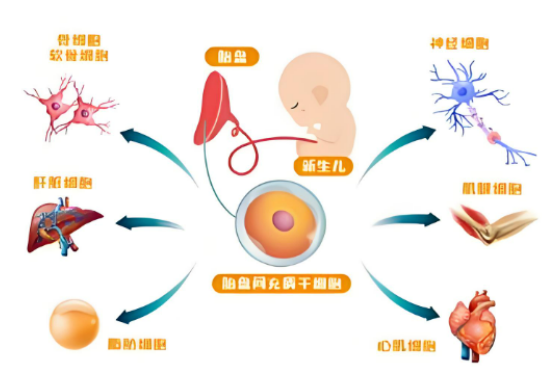 1758679205370339.png image.png