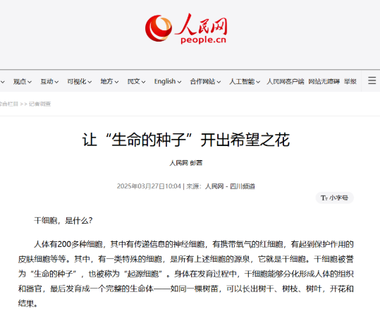 間充質(zhì)干細(xì)胞:醫(yī)療革命的“超級細(xì)胞”