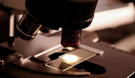 1764318538393965.png image.png