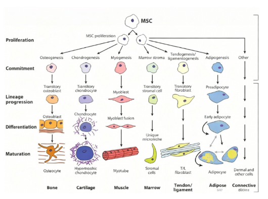 1764318550159769.png image.png