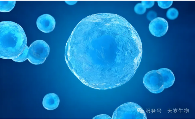 1764551547205989.png image.png